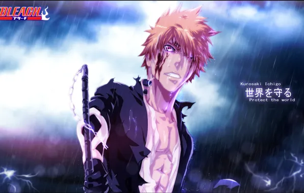 Bleach, anime, Kurosaki Ichigo, protect the world