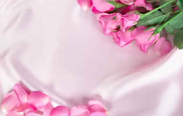Картинка цветы, розы, лепестки, шелк, розовые, бутоны, fresh, pink
