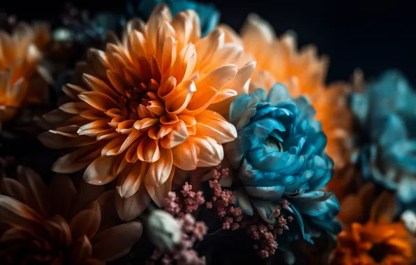 Картинка Flowers, Digital Art, Chrysanthemum flowers, Digital flowers