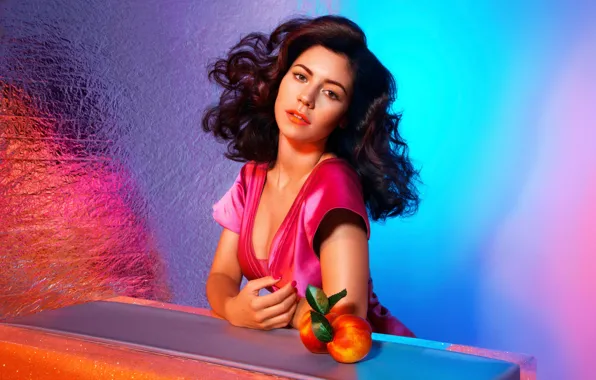 Валлийская певица, Marina and the Diamonds, Marina Lambrini Diamandis