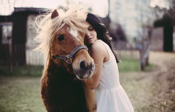 Девушка, животное, лошадь, платье, пони