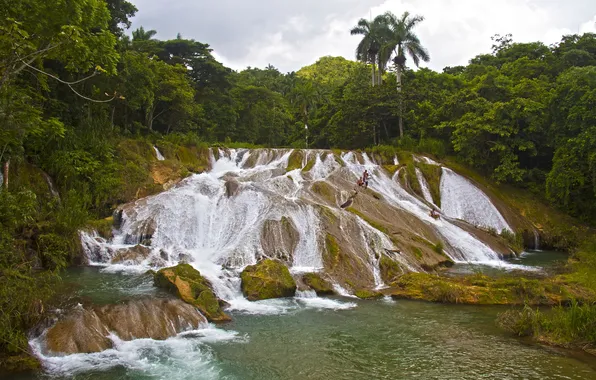 Картинка лес, природа, фото, водопад, Куба, Cascadas de El Nicho
