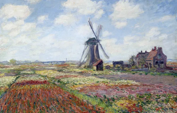 Картинка пейзаж, картина, Клод Моне, Поля Тюльпанов с Рейнсбургской Ветряной Мельницей