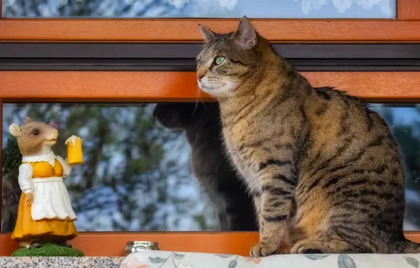Кот, игрушка, мышка
