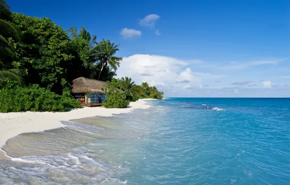 Картинка песок, море, тропики, пальмы, берег, хижина, Мальдивы, Kuramathi