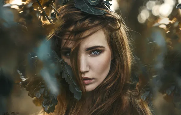 Взгляд, девушка, лицо, ветви, Marketa Novak