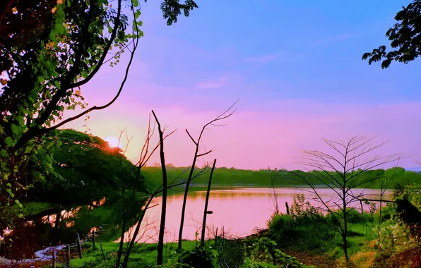 Sun, Water, Sunrise, Dawn, Morning, Lake, Trees, Reflection