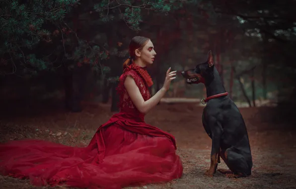 Лес, девушка, стиль, рука, собака, платье, сосны, красное платье