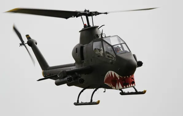 Cobra, ударный вертолёт, Bell TAH-1P