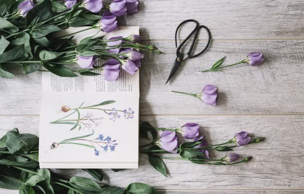 Букет, книга, flower, декор, purple, book, Leaves, Decoration