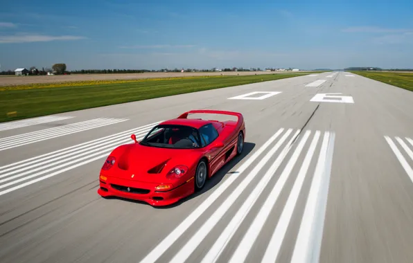 Картинка car, авто, скорость, Ferrari, red, феррари, speed, F50