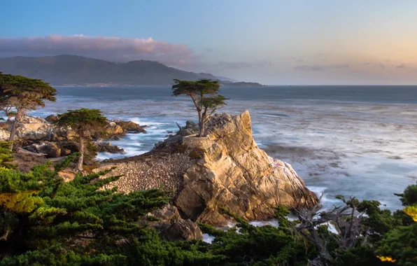 Море, деревья, камни, побережье, горизонт, Калифорния, прибой, США