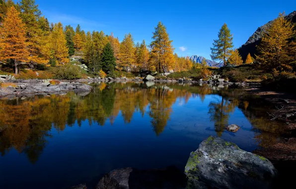 Картинка осень, лес, деревья, озеро, отражение, камни, Италия, Italy