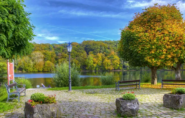 Картинка осень, деревья, парк, река, Германия, фонарь, скамейки, лавочки
