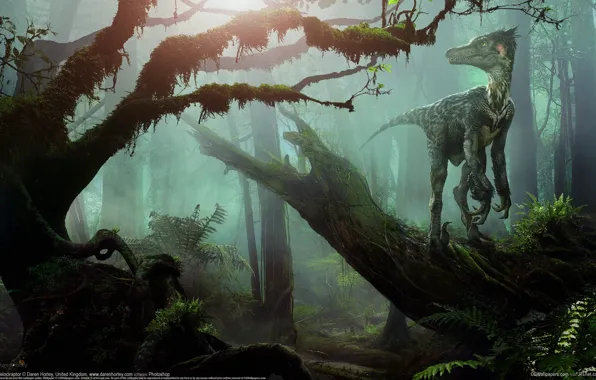 Картинка лес, динозавр, Daren Horley, велоцираптор