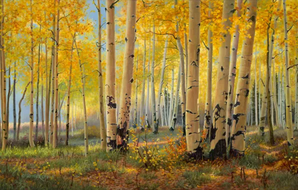 Картинка осень, лес, березы, живопись, искусство, роща, золотая осень, Kay Witherspoon