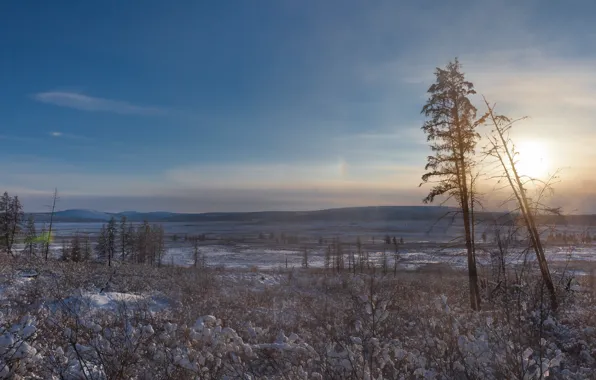 Картинка солнце, снег, деревья, север, полюс холода, Оймякон
