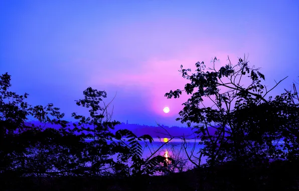 Sun, Water, Sunrise, Dawn, Morning, Lake, Trees, Reflection