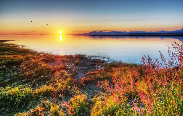 Картинка закат, птицы, река, Canada, Фотограф IvanAndreevich