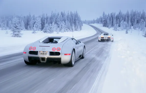 Зима, снег, Bugatti, Veyron, Winter, White, Drive