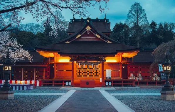 Здание, пагода, Japan, Hongū
