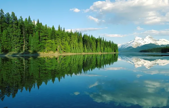 Вода, Отражение, Озеро, Гора, Лес