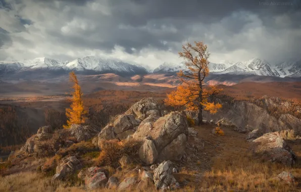 Осень, небо, облака, снег, деревья, горы, тучи, туман