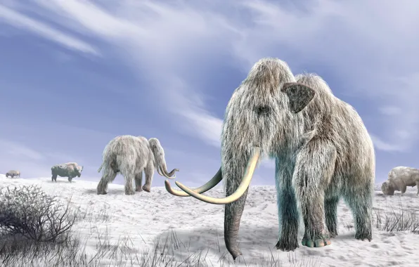 Зима, Снег, Животные, Слоны, Ледниковый период, Мамонты, Бивни, Mammoths