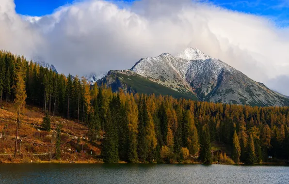 Осень, лес, облака, снег, деревья, горы, природа, синева