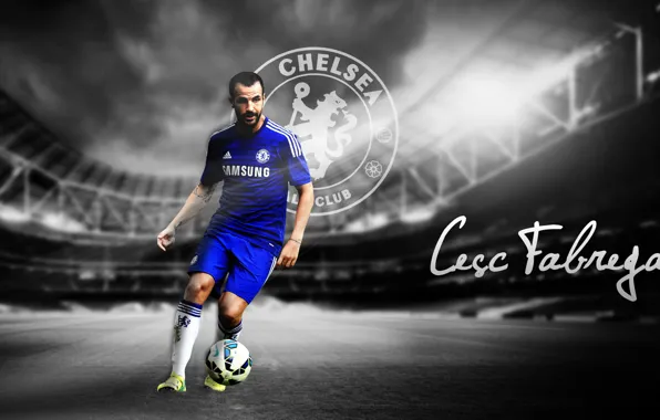 Wallpaper, sport, stadium, football, player, Chelsea FC, Cesc Fabregas