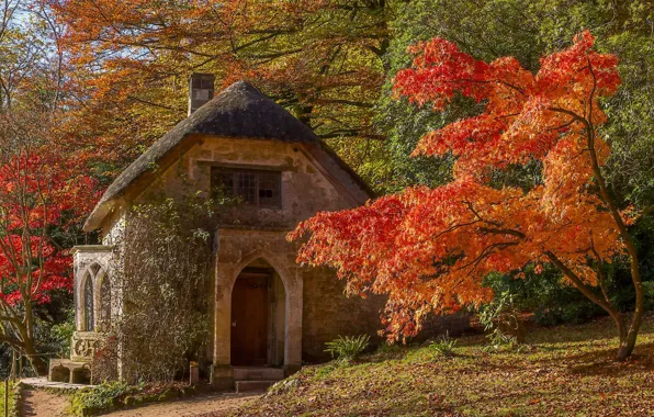 Картинка осень, деревья, дом, парк, Англия, клён, Стурхед, England