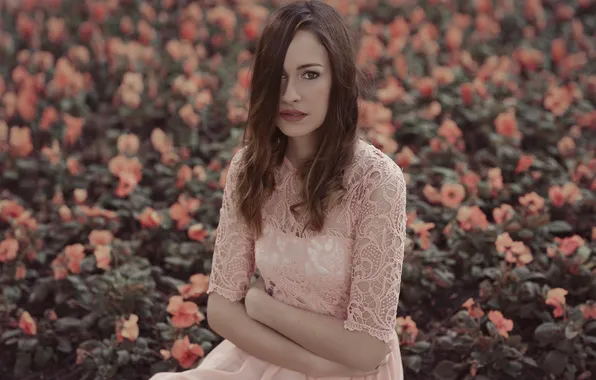 Взгляд, девушка, цветы, лицо, фон, платье