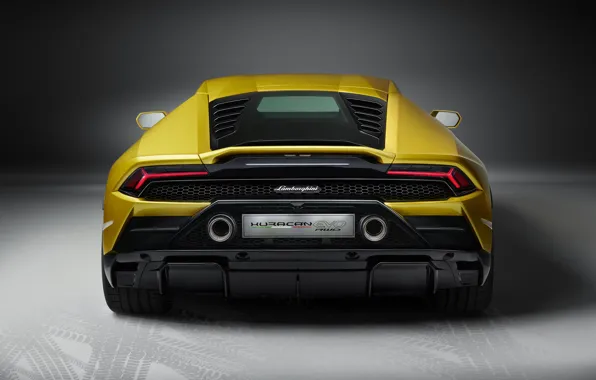 Lamborghini, вид сзади, Huracan, 2020, RWD, Huracan Evo