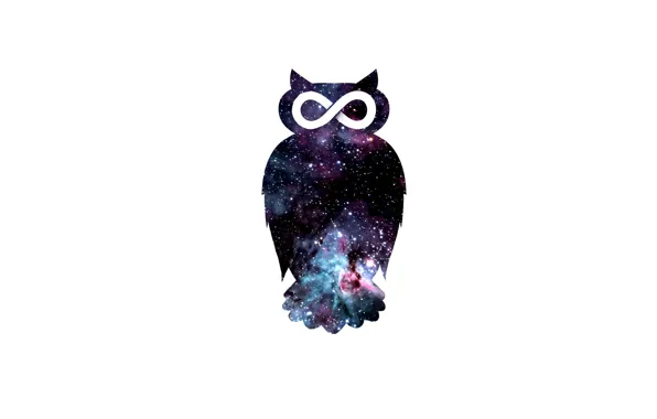 Картинка космос, сова, птица