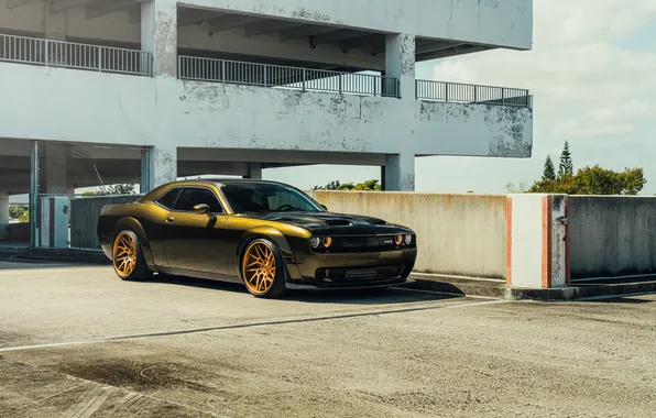 Картинка Dodge, muscle car, Hellcat, Dodge Challenger Hellcat