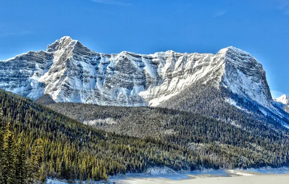 Снег, Канада, вершина, хвойные деревья, Mount Sarrail, озеро Aster, гора Саррайль, хребёт
