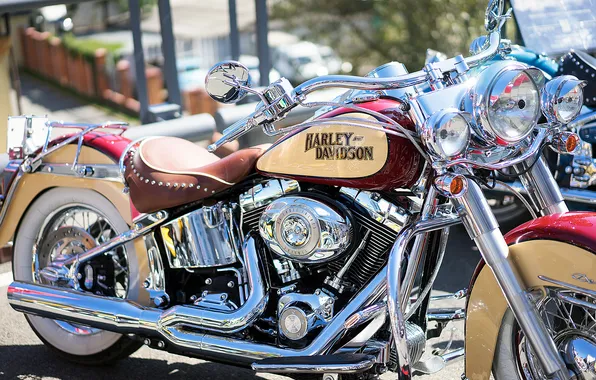 Мотоцикл, байк, harley davidson