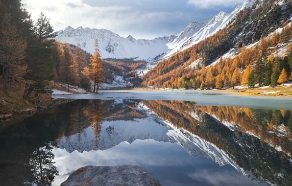 Осень, снег, отражение, водоем