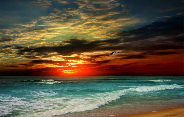 Картинка песок, море, пляж, закат, берег, beach, sea, sunset