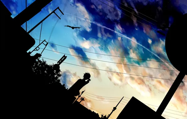 Картинка небо, облака, закат, птица, знак, провода, аниме, арт