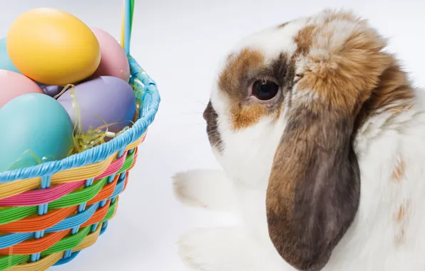 Картинка кролик, пасха, корзинка с яйцами