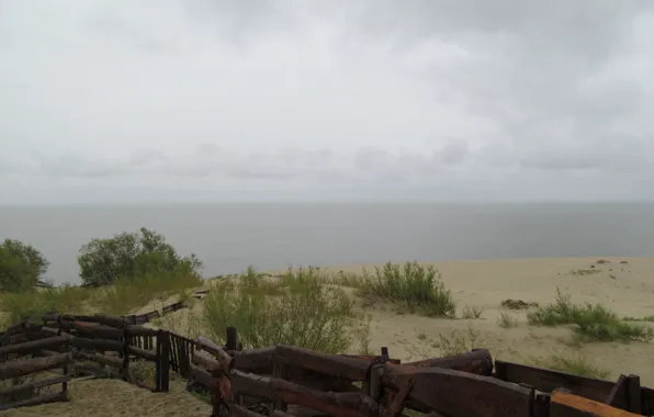 Песок, море, небо, облака, дождь, дерево, ограда, дюны