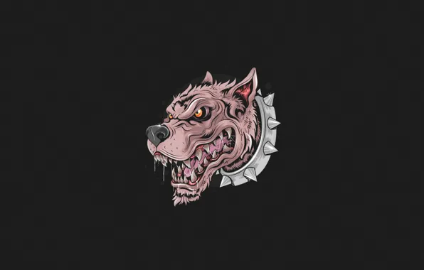 Минимализм, Собака, Стиль, Фон, Морда, Dog, Арт, Art