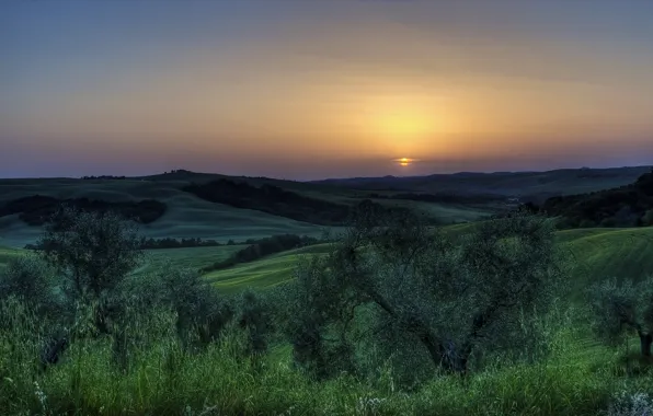 Картинка солнце, деревья, закат, Италия