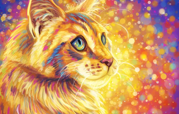 Кошка, пушистая, разноцветный фон