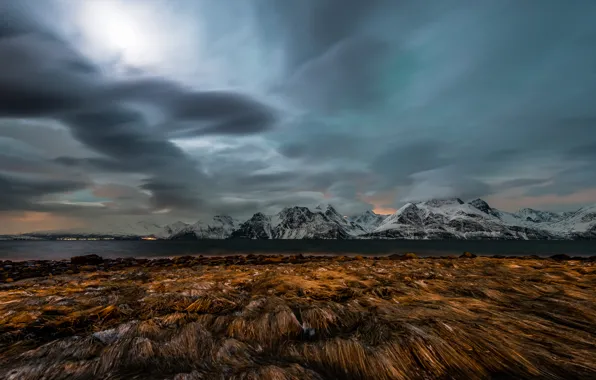 Grass, water, winter, clouds, Northern Lights