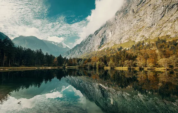 Nature, Clouds, Sky, Wood, Water, Mountain, Sea, Trees