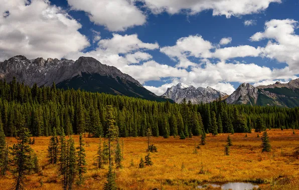 Осень, лес, облака, горы, Alberta, Canada, Peter Lougheed Provincial Park