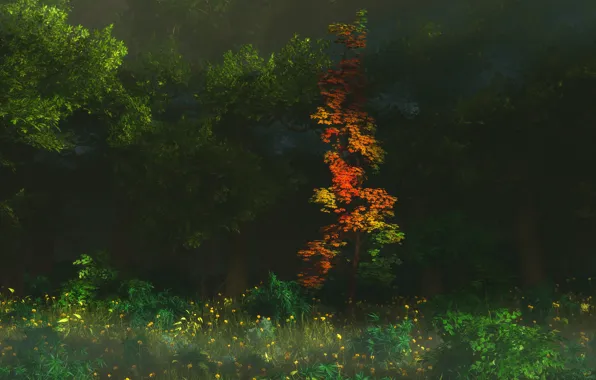 Осень, лес, деревья, цветы, природа, графика, digital, First Blush