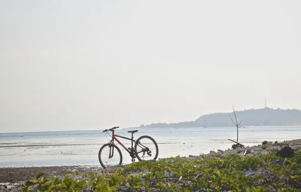 Море, природа, велосипед, берег, привал, mountain bike